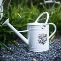1 gallon watering can