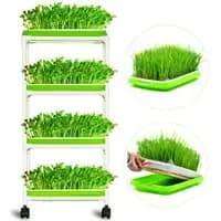 4 layers sprout trays
