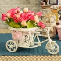 cycle shape flower vase