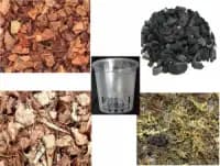 exotic orchid growing kit