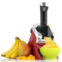 fruit frozen dessert maker