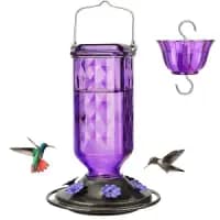 glass hanging bird feeder