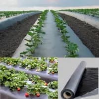 greentech mulching sheet