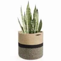 jute rope plant basket