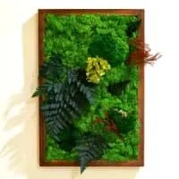 moss wall art frame