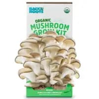 organic mushroom growing kit