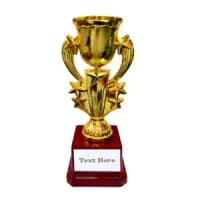 personalized gaming achievement trophy