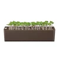 self watering plant pot