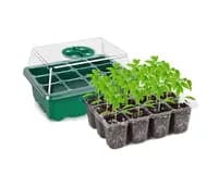 tray seedling starter kits