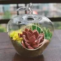 urban moon glass terrarium