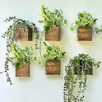 wooden herb planter box
